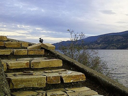 shoreline-design-stone-stairs-008